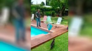 "¡Te atacó Martín!": el nuevo viral argentino que saca carcajadas en redes sociales