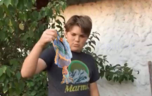 Los mejores memes que dejó la Gala de Viña del Mar