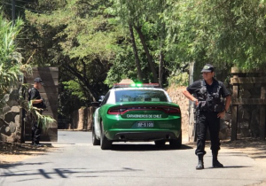 Nuevamente un puma queda atrapado sobre un árbol