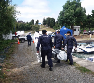 Turista alemana fallece en el lago Llanquihue tras accidente en moto acuática