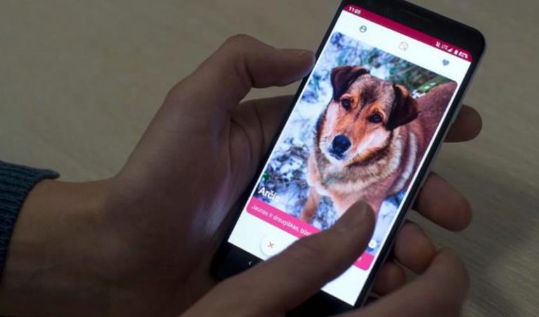 Al estilo de Tinder: Crean app que conecta personas con mascotas