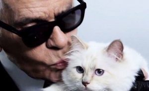 Choupette, la gata heredera de la fortuna de Karl Lagerfeld