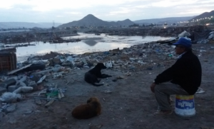 Invierno Altiplánico dejó un muerto y 1.200 personas evacuadas en el norte del país