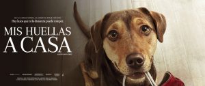 [Concurso Cerrado] ¡Participa por entradas para la avant premier de la película "Mis huellas a casa"