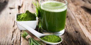 ¿Sabes qué es la chlorella? Aquí te contamos algunos beneficios