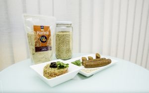 Una nueva alternativa: En Petorca inventaron una vienesa de quínoa