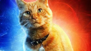 Productor de "Capitana Marvel" contó cuántos gatos actuaron en el papel de "Goose"