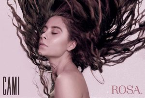 ¡Estos son los ganadores de una copia de "Rosa" de Cami Gallardo!