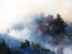Alerta roja en la provincia de Cautín por incendios forestales