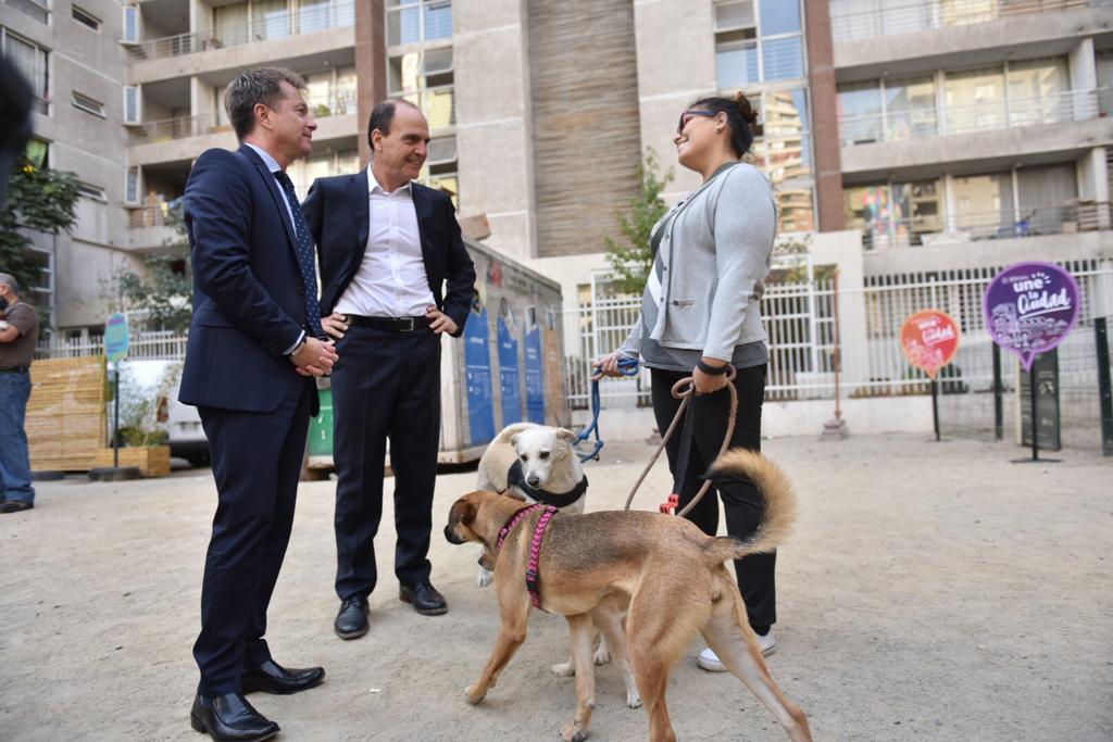 Gobierno busca levantar veto a mascotas en edificios y condominios