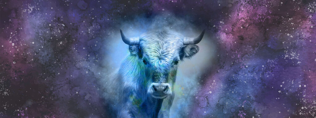 Especial del signo del mes en #LosMensajesDeCupido: Tauro