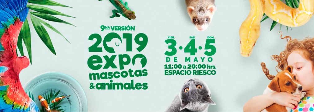¡Ganadores de la Expo Mascotas este 3, 4 y 5 de mayo en #Conectados!