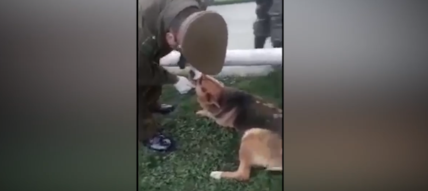 Carabineros salvan vida a perrito que se ahogaba con un hueso y el video se volvió viral