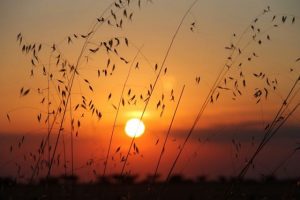 Horóscopo semanal: Tiempo para la realización con la llegada del Sol a Leo