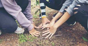 Estudiantes en Filipinas deberán plantar 10 árboles si se quieren graduar