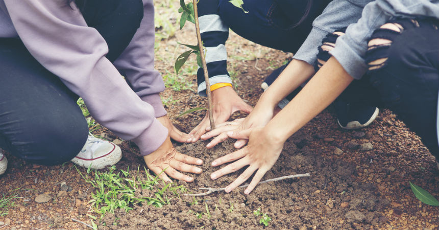 Estudiantes en Filipinas deberán plantar 10 árboles si se quieren graduar