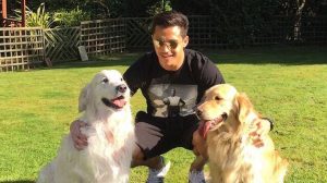 Atom y Humber tendrán hermanos: Alexis presentó a sus nuevos perritos
