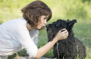 Hablarle a tu perro como a un bebé no sería malo, según estudio