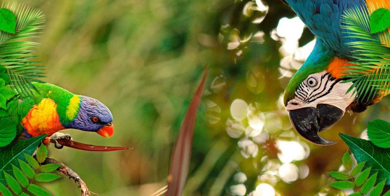 #Abrazados te invita a Buin Zoo para que disfrutes junto a tu familia