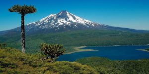 Día del Patrimonio: Parques Nacionales tendrán entrada gratuita este fin de semana