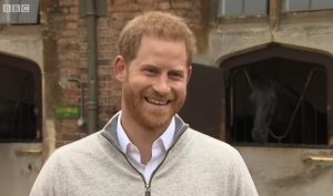 ¿¡Qué!? Príncipe Harry podría venir a Chile para la COP25