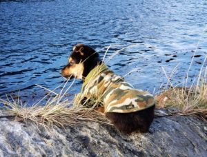 La Armada de Chile presentó a su nuevo integrante