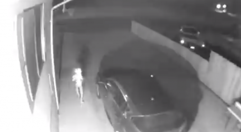 ¿Será real? Vídeo muestra a una criatura similar a "Dobby" de Harry Potter y genera revuelo en redes sociales