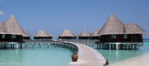 ¿Te gustan las tortugas? Resort de lujo en Maldivas busca cuidador con todos los gastos pagados