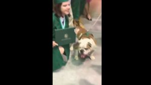 Quiso sacarse una foto con la mascota de la universidad ¡y se comió su diploma!