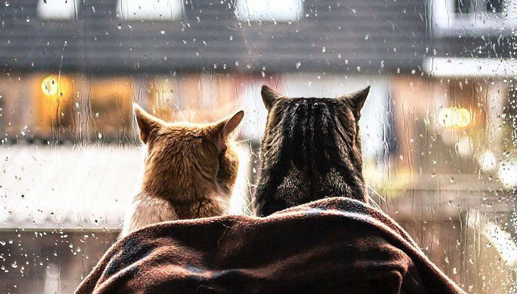 ¡Descubre cuándo y a qué hora partirá oficialmente el invierno 2019!