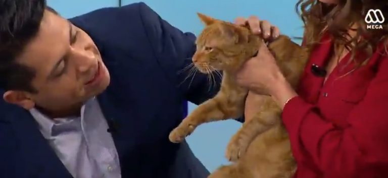 Megato hizo su debut en "Ahora Noticias" pero animadores fueron criticados por esta razón