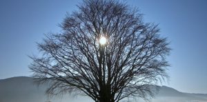 Horóscopo semanal: Prepárate para un nuevo ciclo tras el Solsticio de Invierno