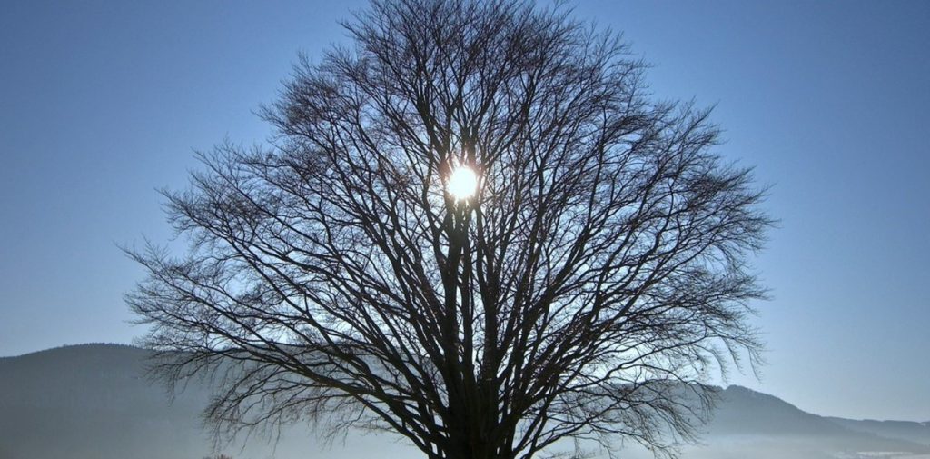 Horóscopo semanal: Prepárate para un nuevo ciclo tras el Solsticio de Invierno