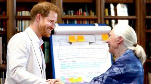 Príncipe Harry protagoniza tierno saludo "chimpancé" con la primatóloga Jane Goodall