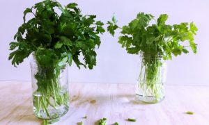 ¡Incluye estas dos hierbas en tus comidas para borrar la celulitis!