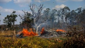 ¿Qué está haciendo el Gobierno chileno para ayudar en los incendios del Amazonas?