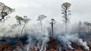 África también se está quemando, pero no sería comparable con la Amazonía