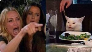 Así nació el popular "meme del gato" que causa furor en redes sociales