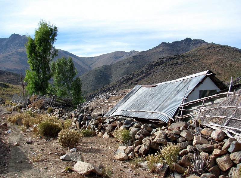 El ministro de Hacienda se sumó a la iniciativa "Acción Climática"