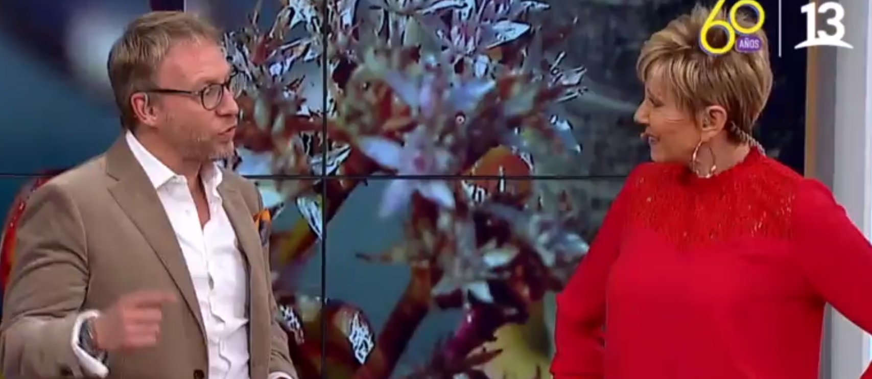 Martín Cárcamo encaró a Raquel Argandoña por 'pelar' a panelista de "Bienvenidos"