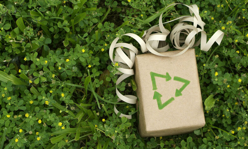 Decoración ecológica: Revisa estas recomendaciones de Instagram