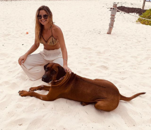 Mayte Rodríguez responde tras molestia por viajar con su perro en avión