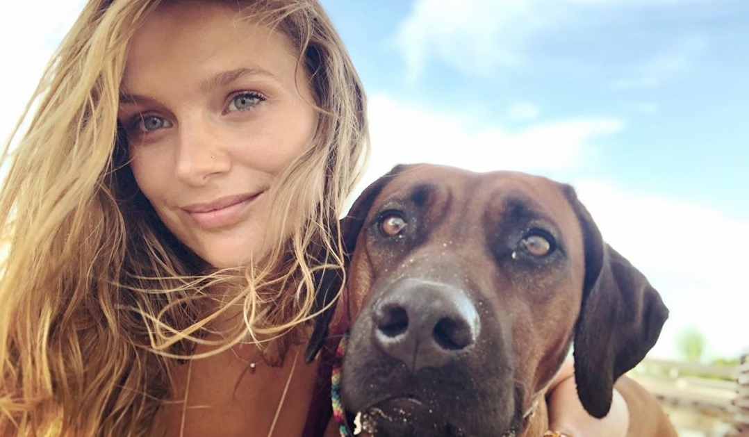 Pasajero se lanza contra Mayte Rodríguez por viajar con su perro en el avión