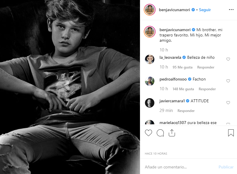 Hijo de Benjamín Vicuña