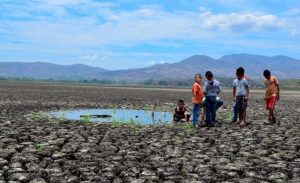 Calentamiento global: ONU recomienda cambiar hábitos de alimentación