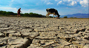 Hacienda advierte que más de un 60% de terrenos en Chile están amenazados por sequía