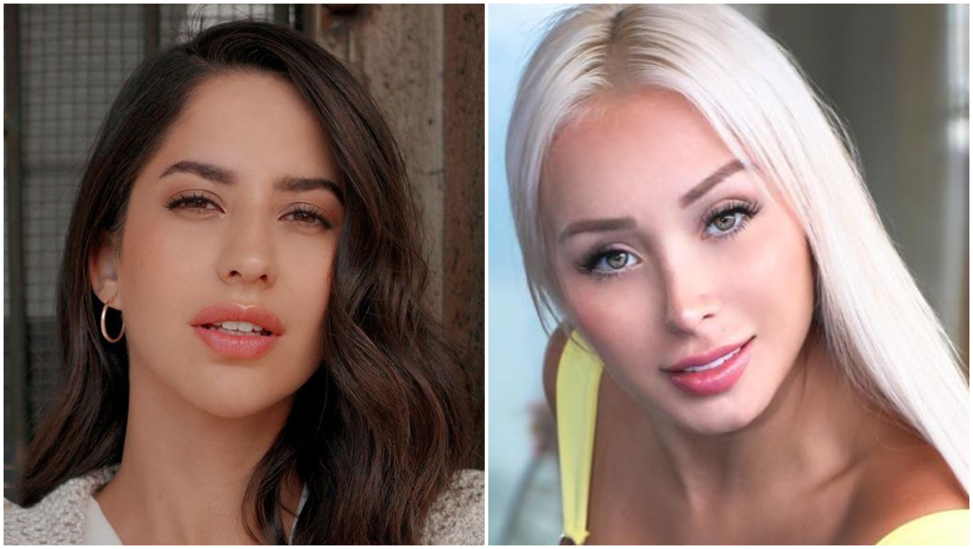 "Twittea ahora po": El tenso cruce entre Fer Figueroa y Daniella Chávez en redes