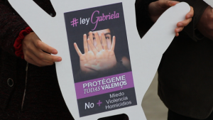 Ley Gabriela fue aprobada en general en el Senado