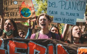 Hoy es la Marcha Mundial por el Clima: Revisa la convocatoria en todo Chile