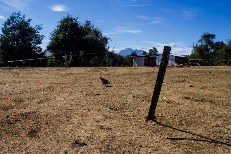 Declaran zona de emergencia agrícola en nueve comunas del Maule